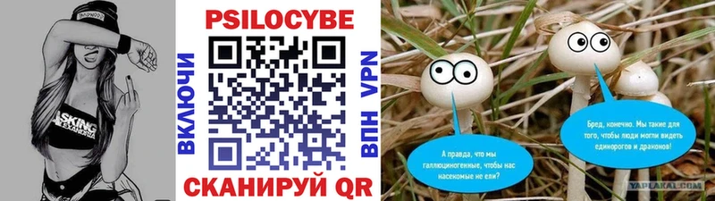 OMG вход  Тимашёвск  Псилоцибиновые грибы MAGIC MUSHROOMS 